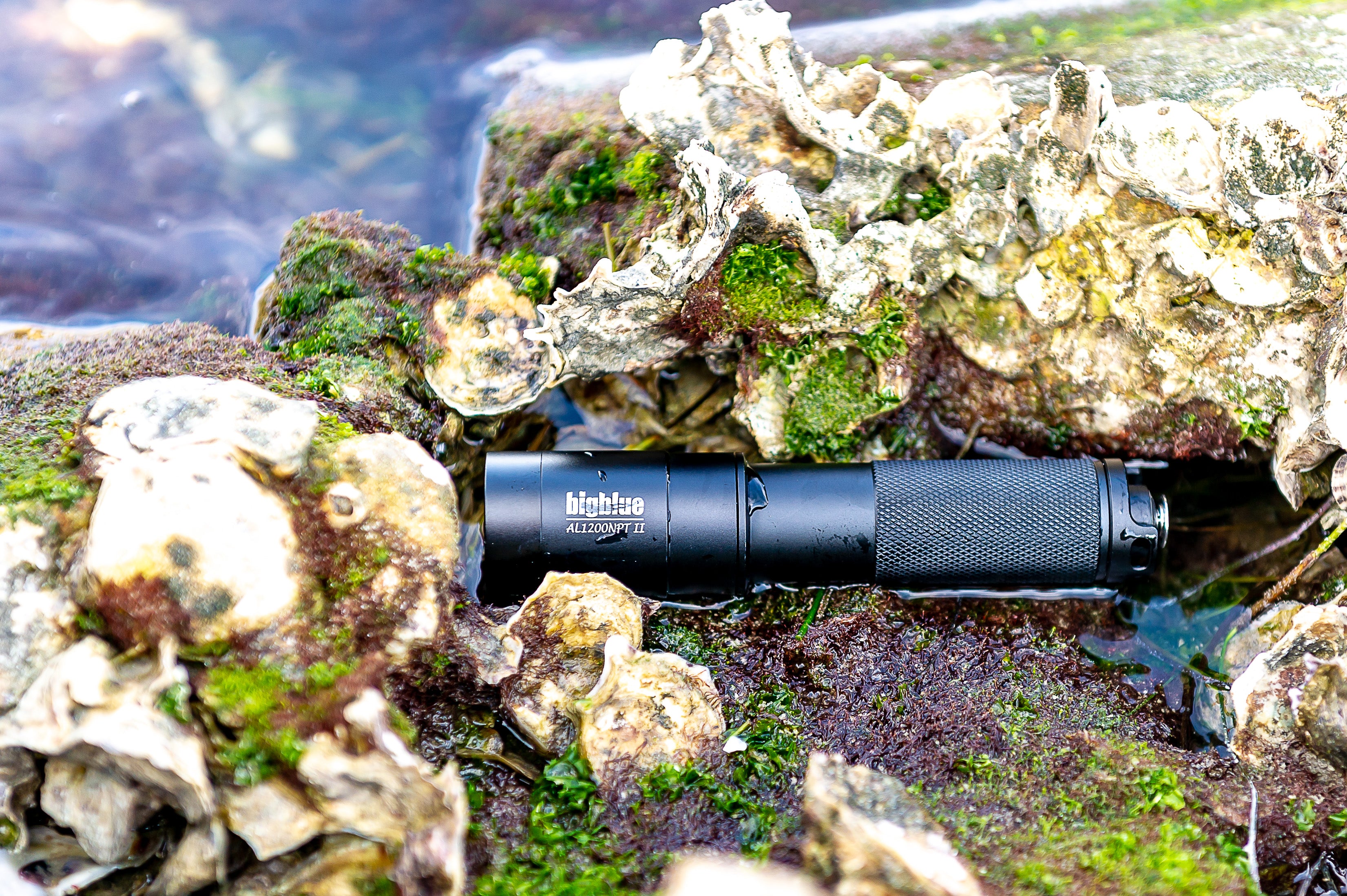 Bigblue 1300 Lumen Narrow Beam Dive Light with Tail switch