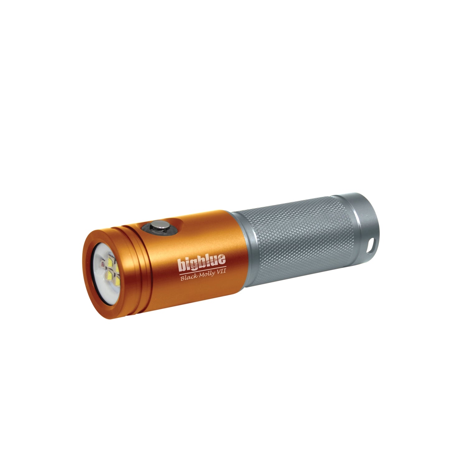 BligBlue Dive Lights 2900 Lumen Extra-Wide Video Light