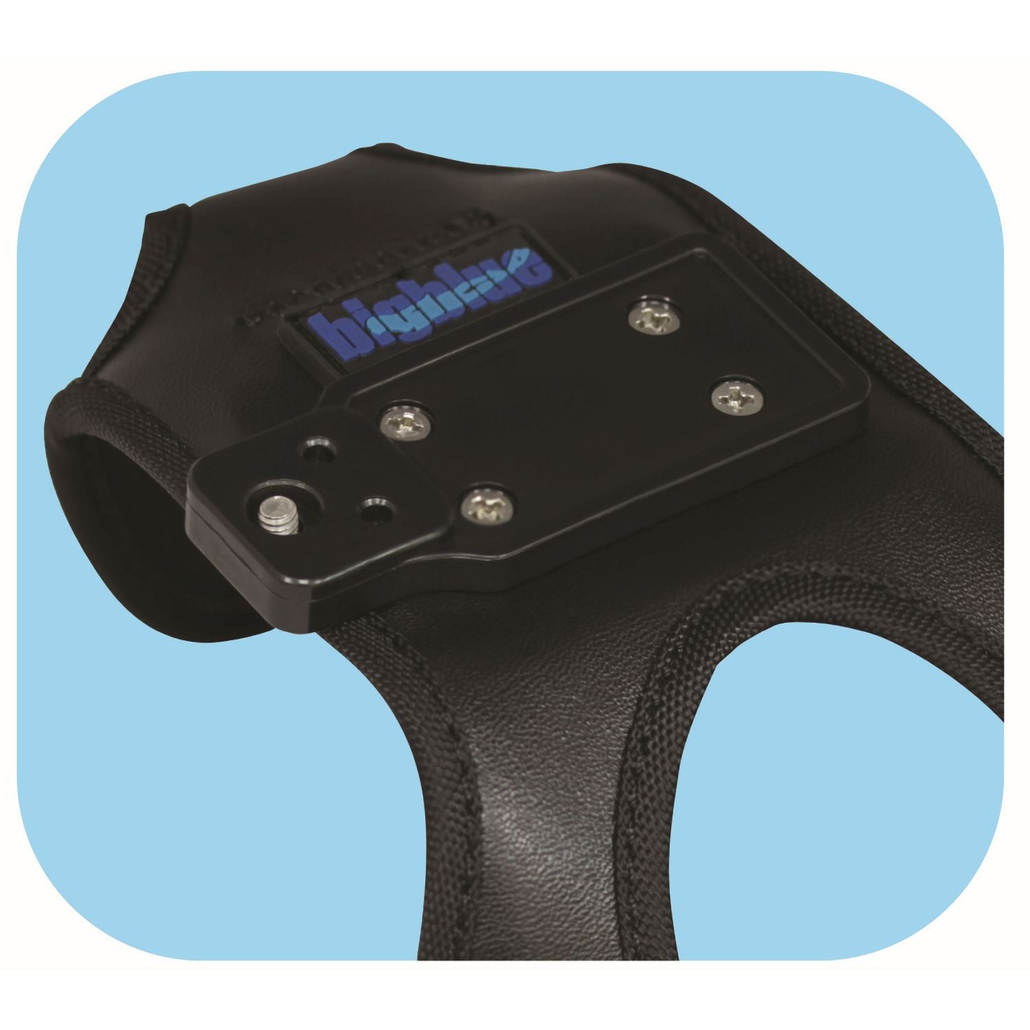 BigBlue 2900 Lumen Wide Beam + 1000 Lumen Spot Beam Dive Light