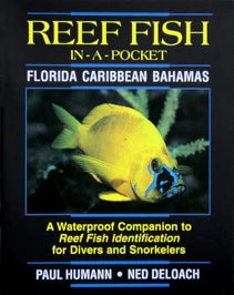 Reef Fish In-a-Pocket Waterproof Identification Guide - Fits in your BC/BCD Pocket