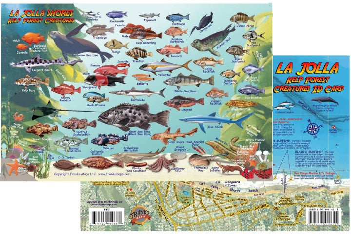 Franko's Laminated California Fish ID Cards with Dive Map