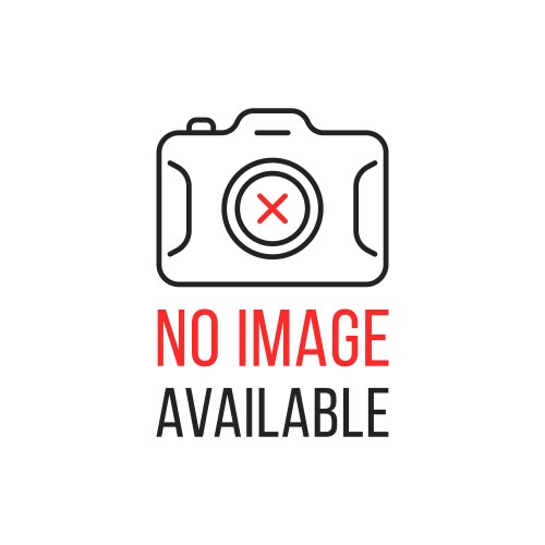 Trident Brass Swivel Snap Bolt Quick Release Clip with Male End Attached