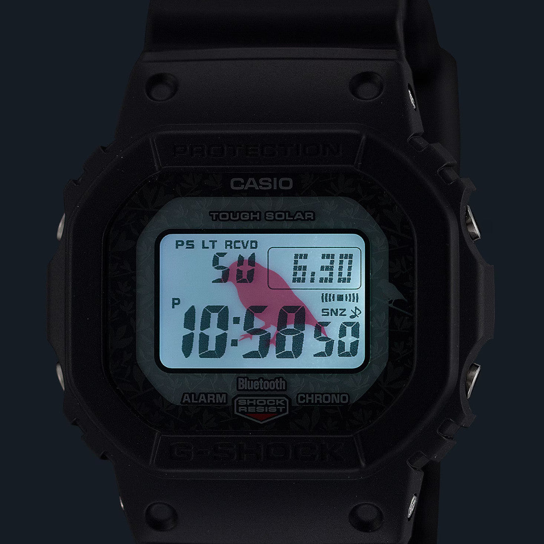 Casio G-Shock Charles Darwin Foundation Watch Digital