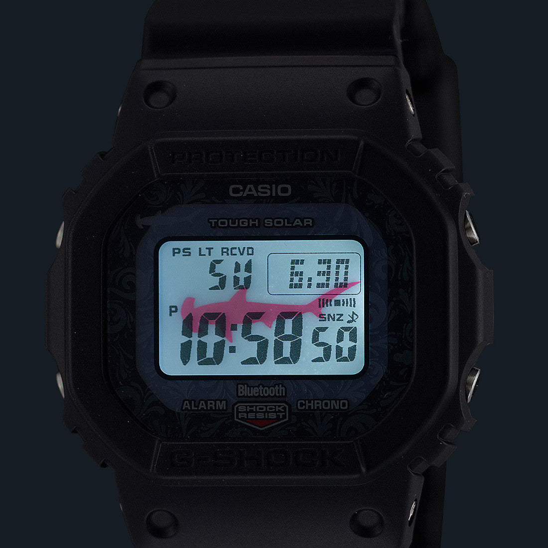 Casio G-Shock Charles Darwin Foundation Watch Digital