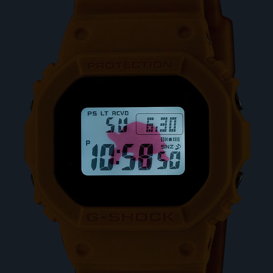 Casio G-Shock Charles Darwin Foundation Watch Digital