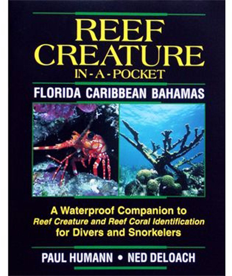 Reef Creature In-a-Pocket Waterproof Identification Guide - Florida, Caribbean, and Bahamas