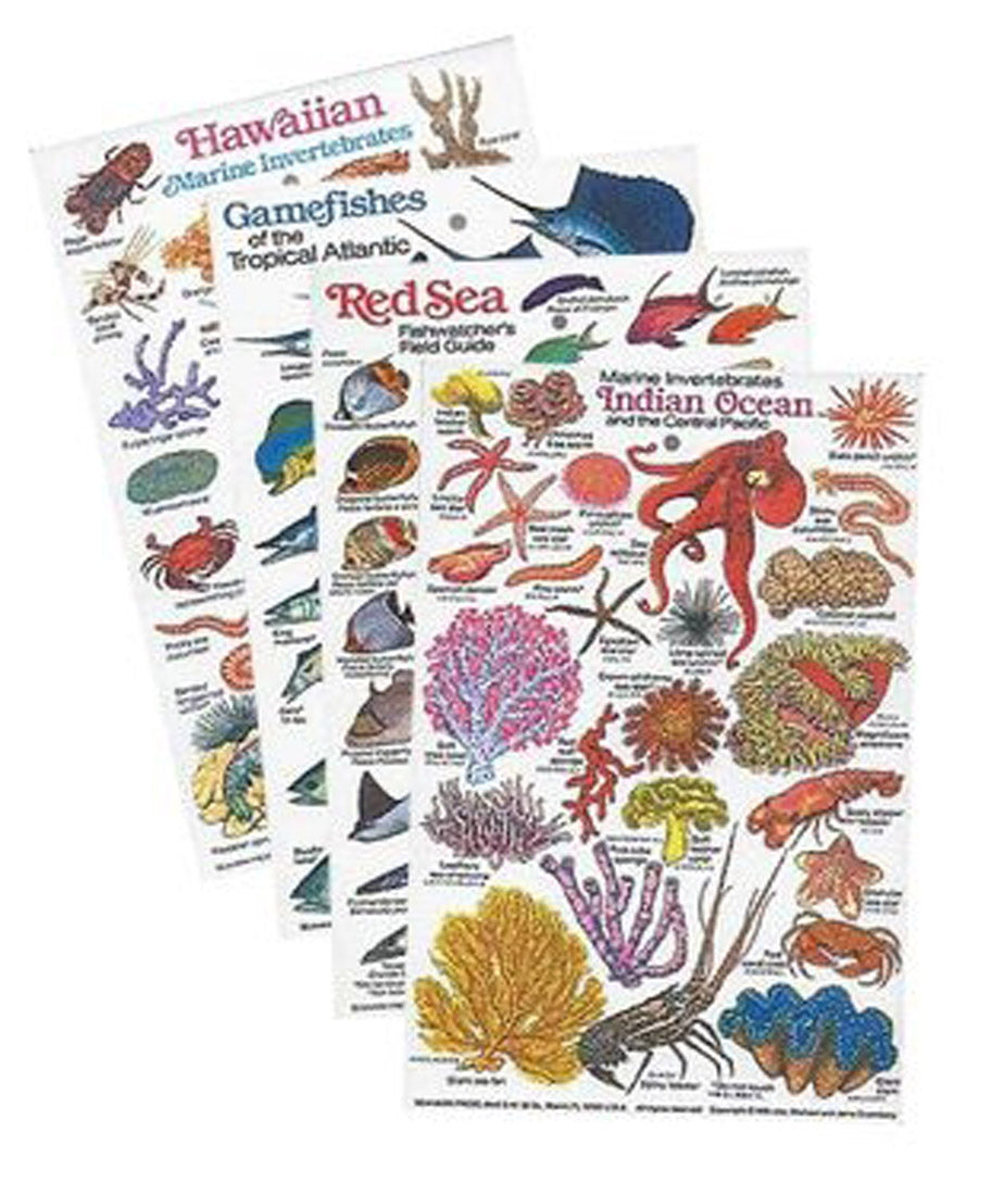 Seahawk Press Laminated Fish ID Cards Field Guides 6.5