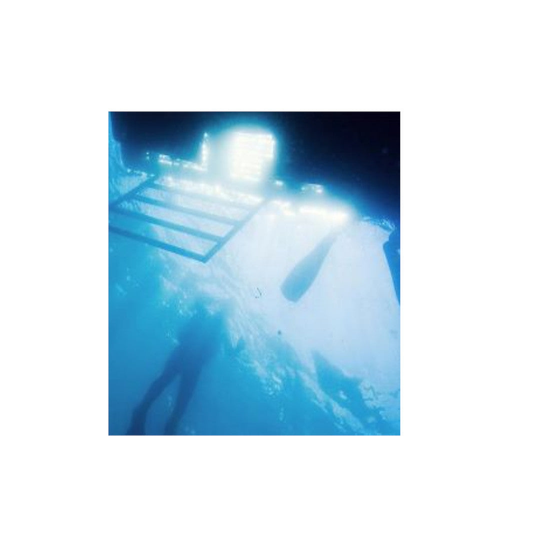 Padi eLearning Boat Diver For Student Drivers