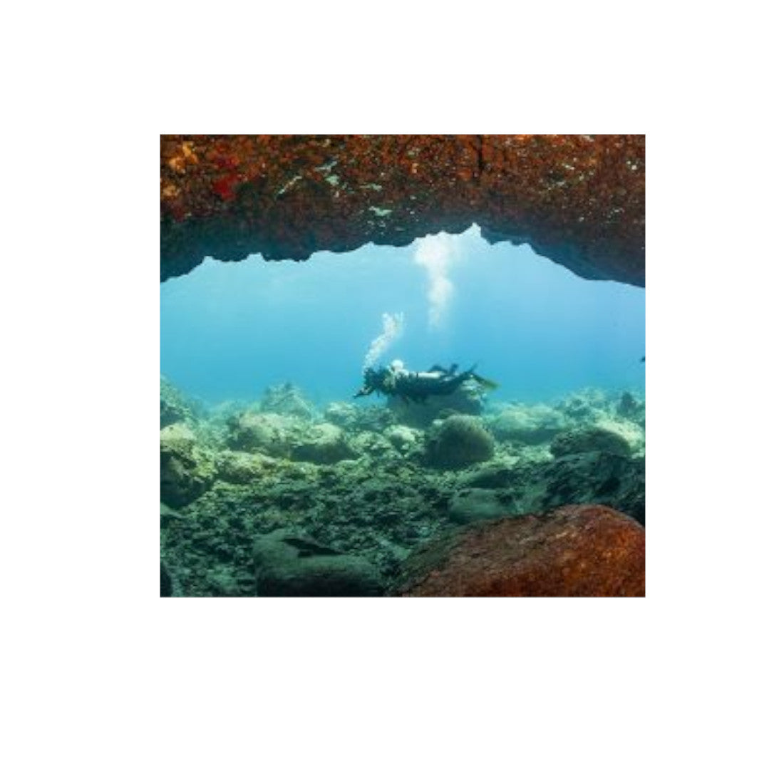 Padi eLearning Enriched Air Diver Course For Student Divers