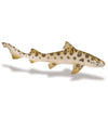 Safari Ltd. Wild Safari Sea Life Leopard Shark Replica Scale Model Toy