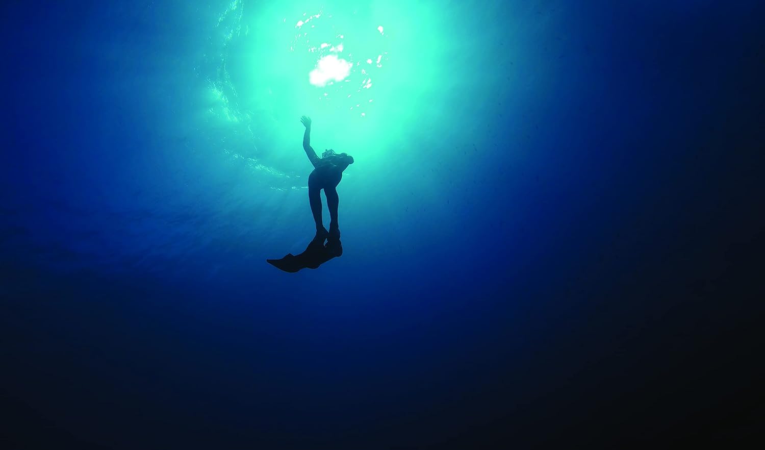 OMER EagleRay Freediving Fins