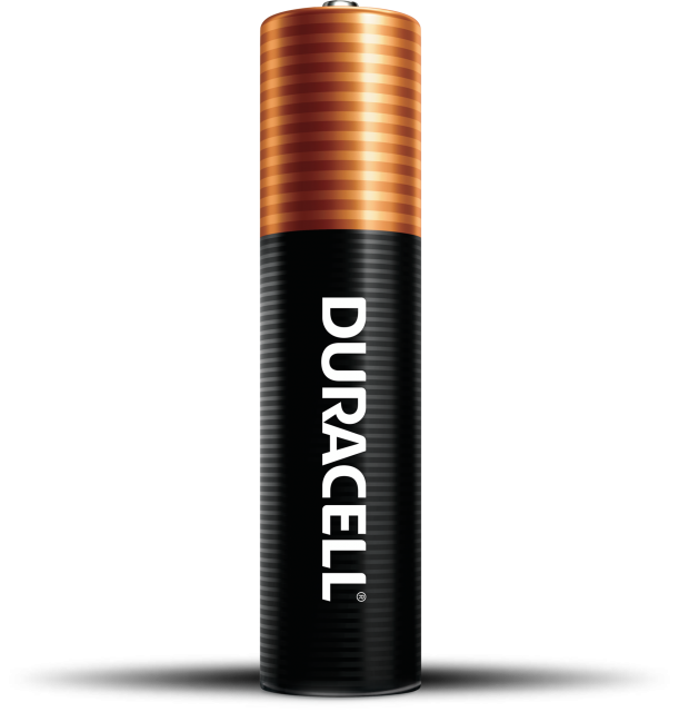 Duracell Coppertop Alkaline AAA Batteries, 2 count