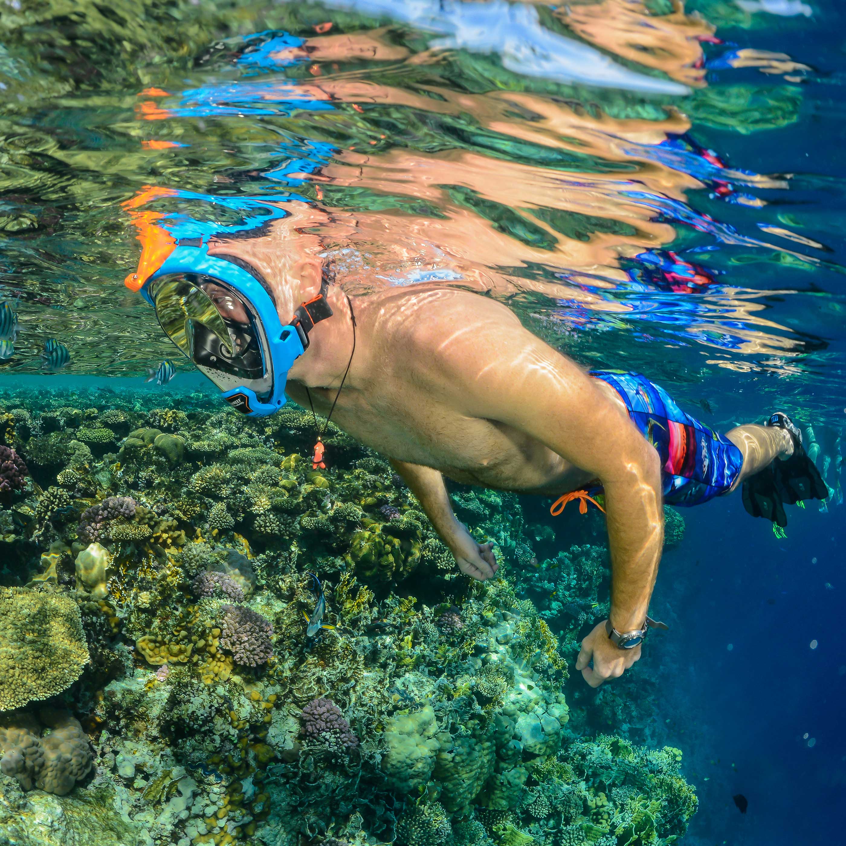 ARIA QR+ Snorkel Full Face Mask