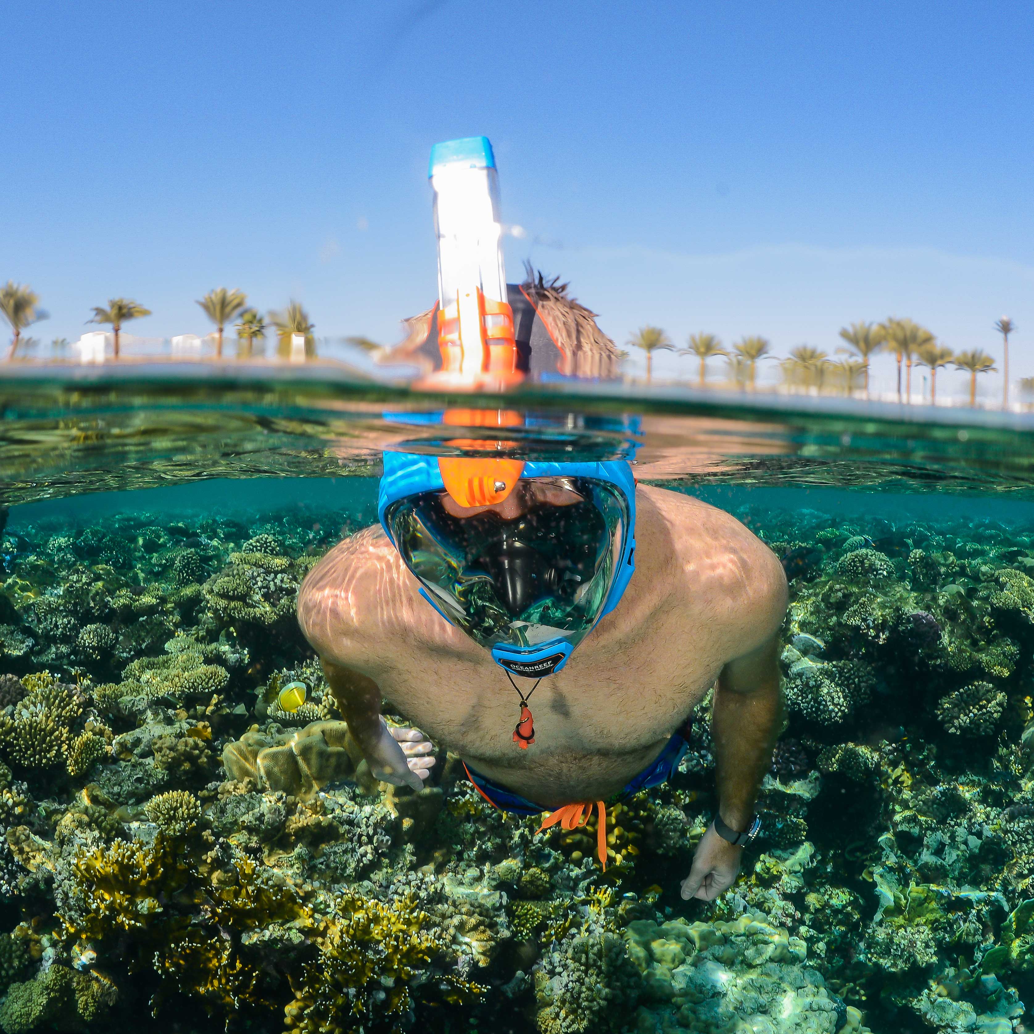 ARIA QR+ Snorkel Full Face Mask