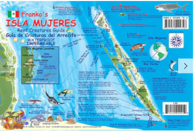 Franko Maps Caribbean 6x9 Fish ID Cards