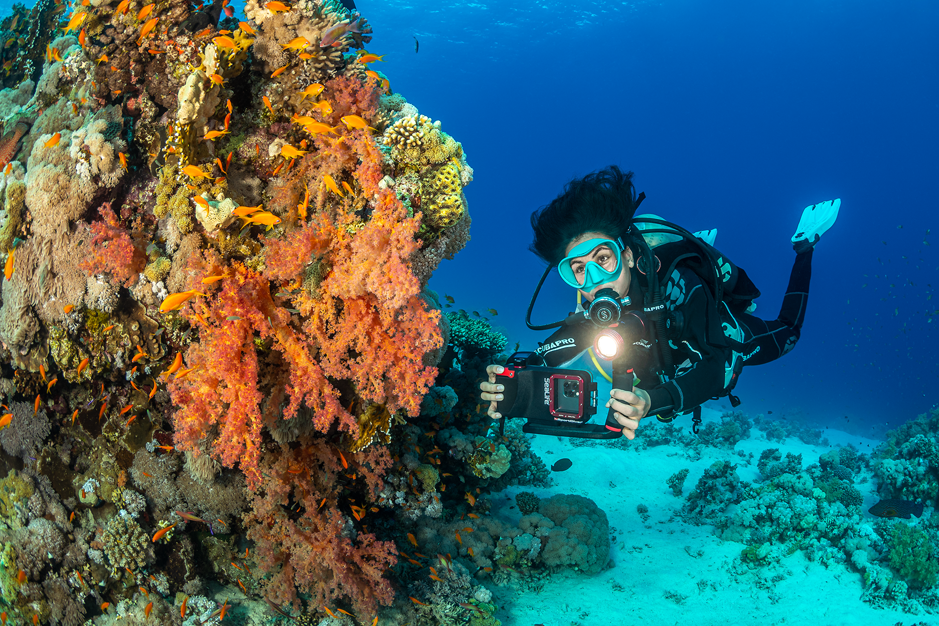 SeaLife SportDiver Underwater Smartphone Housing