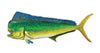 12 inch Fish Decal Stickers Wahoo, Mahi, White Seabass, Yell