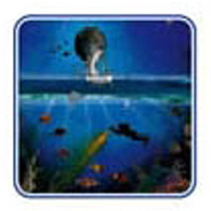 Trident Computer Mouse Pad