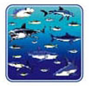 Trident Computer Mouse Pad