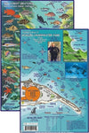 Franko's Laminated California Fish ID Cards with Dive Map