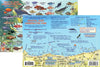Franko's Laminated California Fish ID Cards with Dive Map