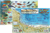 Franko's Laminated California Fish ID Cards with Dive Map