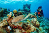 SeaLife SportDiver ULTRA Underwater Smartphone Housing