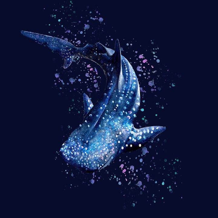 Spacefish Army Womens Whale Shark Wonderland Rashguard