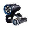 Light & Motion SOLA Dive 2500 S/F Combo with GoBe 800 Spot