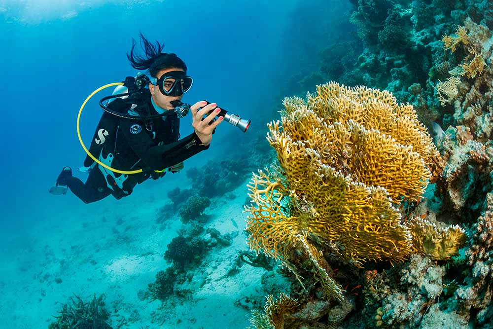 SeaLife Sea Dragon Mini 1600S Rechargeable Dive Light Power Kit