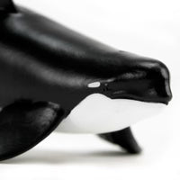 Safari Type D Orca Toy