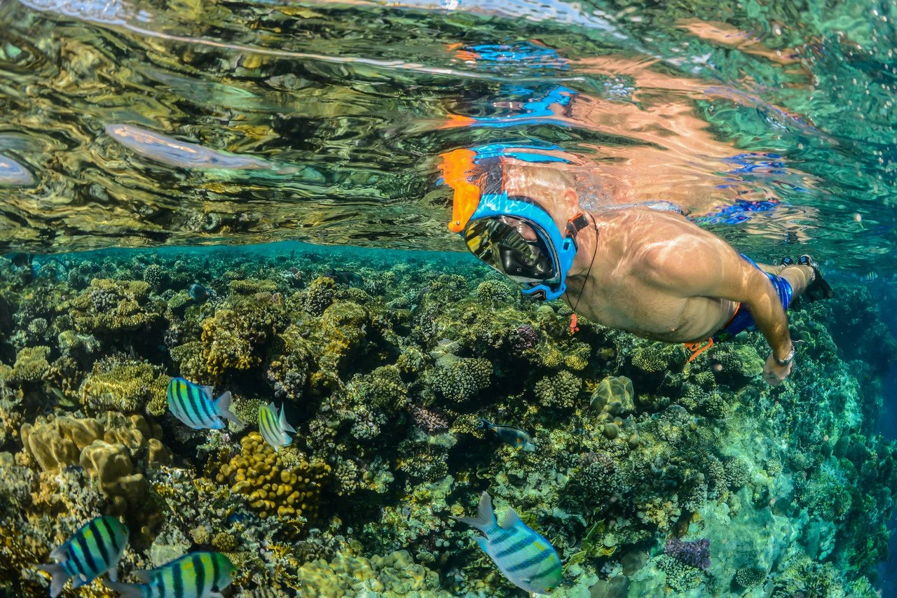 ARIA QR+ Snorkel Full Face Mask
