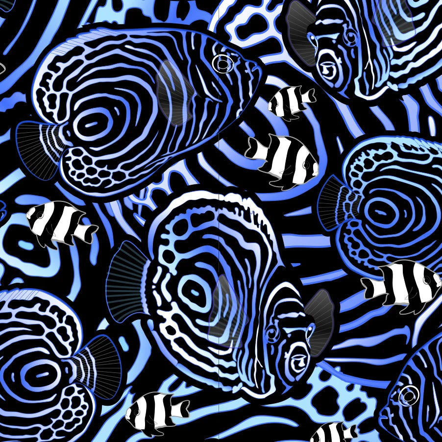 Spacefish Army Angelfish Hypnosis black, white, blue, and light blue pattern swatch
