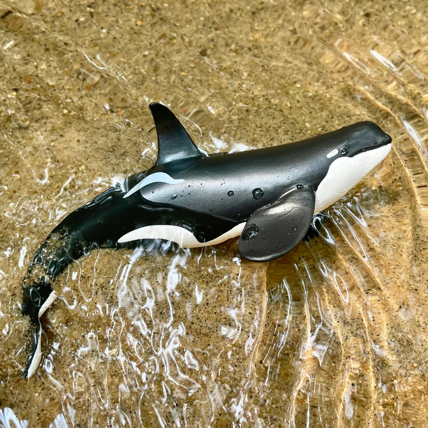 Safari Type D Orca Toy