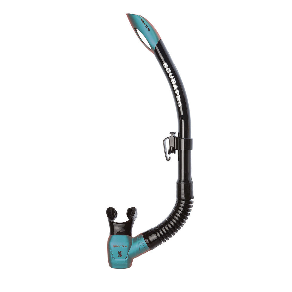 Scubapro nexus hotsell snorkel