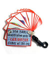 Sea Fan Identification Fish Guide Cards Scuba & Snorkeling