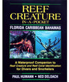 Reef Creature In-a-Pocket Waterproof Identification Guide - Florida, Caribbean, and Bahamas