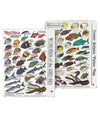 Seahawk Press Mini Pocket Guides Fish ID Cards Fit easily in BCD Pocket