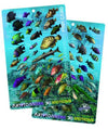 3D Motion Florida/Caribbean Fish ID Identification Card Waterproof 5.5
