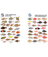 Natural World Press Guide to Pacific Coast and Pacific Northwest Inshore Fish Identify 6