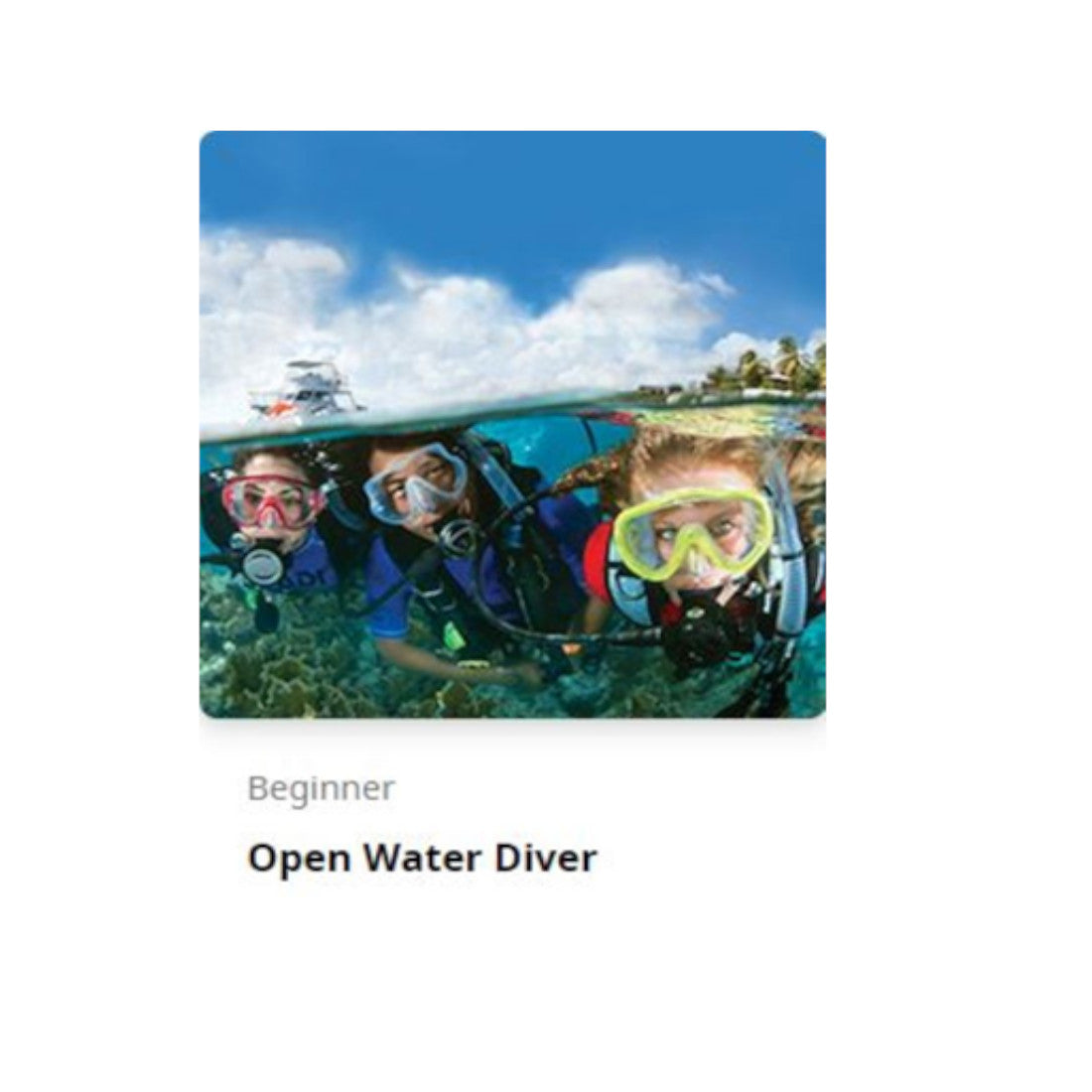 Padi eLearning Open Water Diver Course Study Material Book For Scuba D