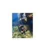 Padi Instructor Guides Specialty Course Digital 70909-1 For Scuba Diving Student