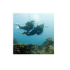 Padi eLearning Deep Diver Specialty Course For Student Diver