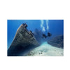 Padi eLearning Wreck Driver Specialty Course For Drivers