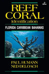 Reef Coral Identification Florida, Caribbean and Bahamas