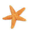 Safari Ltd. Wild Safari Sealife Orange Starfish Replica Scale Model Toy